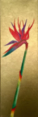 Bird of Paradise V