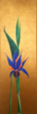 Bird of Paradise III