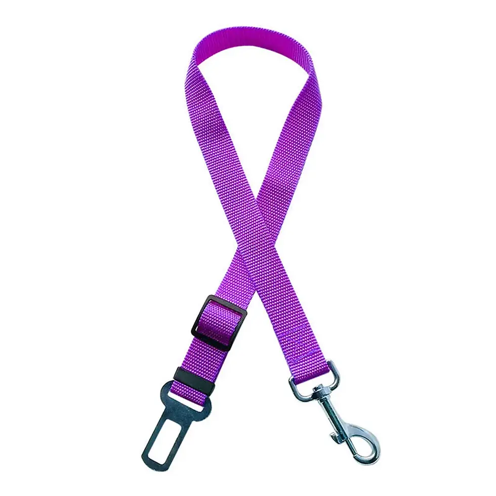 Thumbnail: Dog Seat Belt