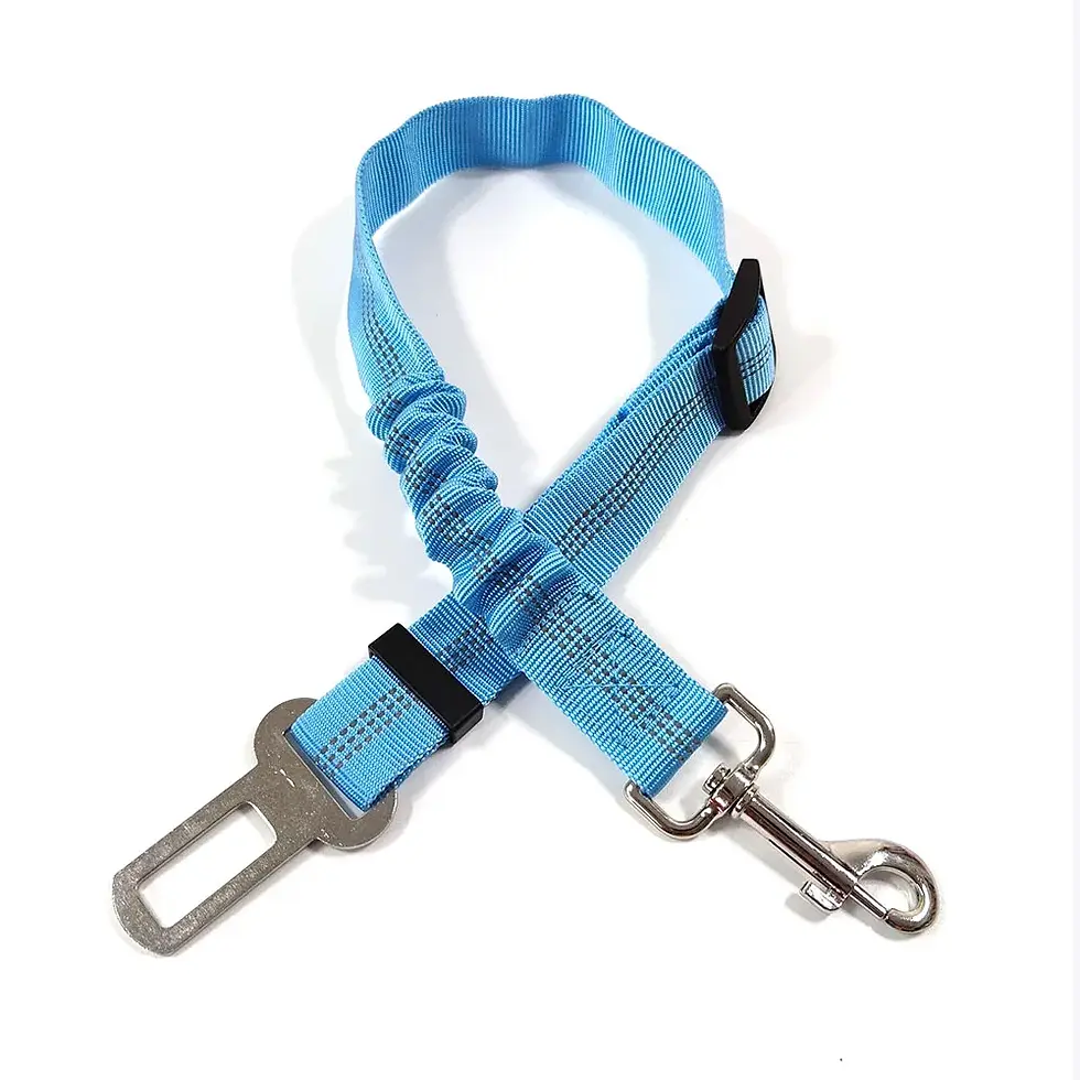 Thumbnail: Dog Seat Belt