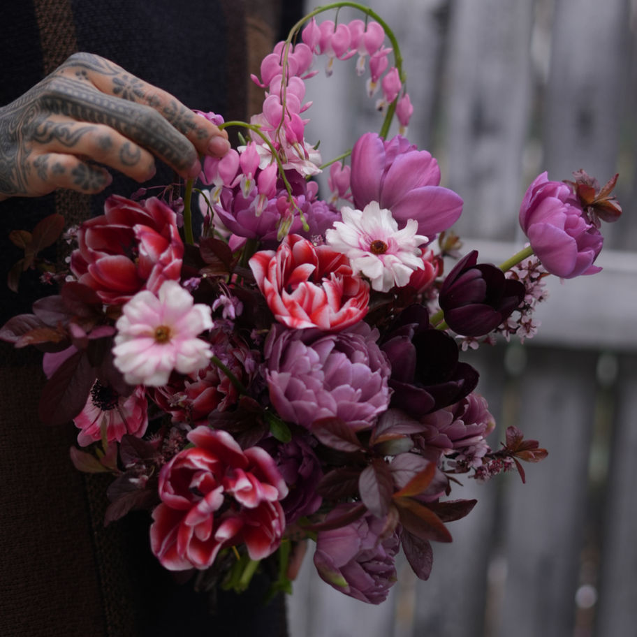 Curated Tulip Bulb collection