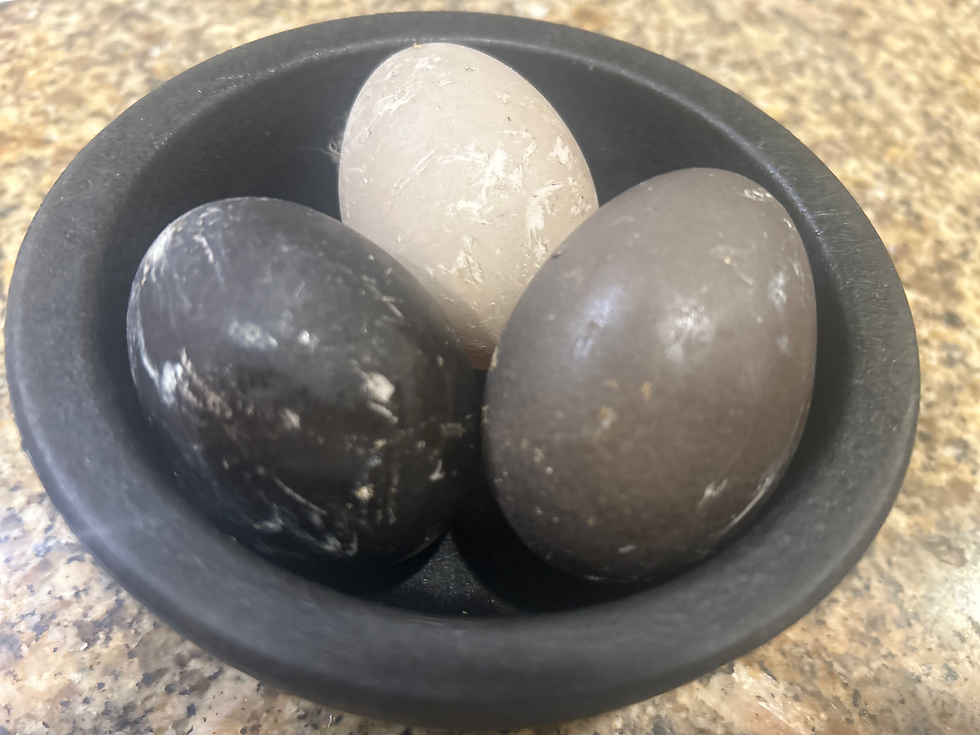 Farming is Eggcellent