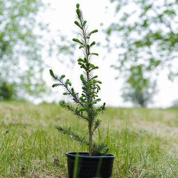 Reactine (Tree Planing Event)-86_edited.jpg