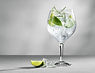 GIN.jpg