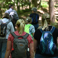 Foto von einer Wandergruppe als Platzhalter für eine Empfehlung für Darius Götsch