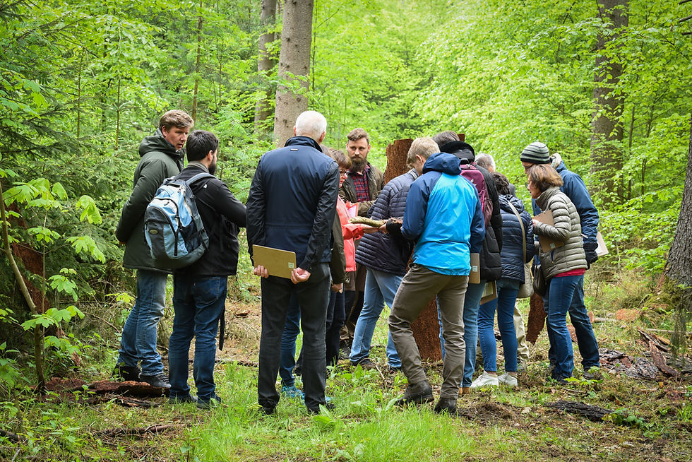 Team bei einem Teamevent im Wald bei Bamberg