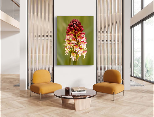 Wartezimmer mit Orchidee