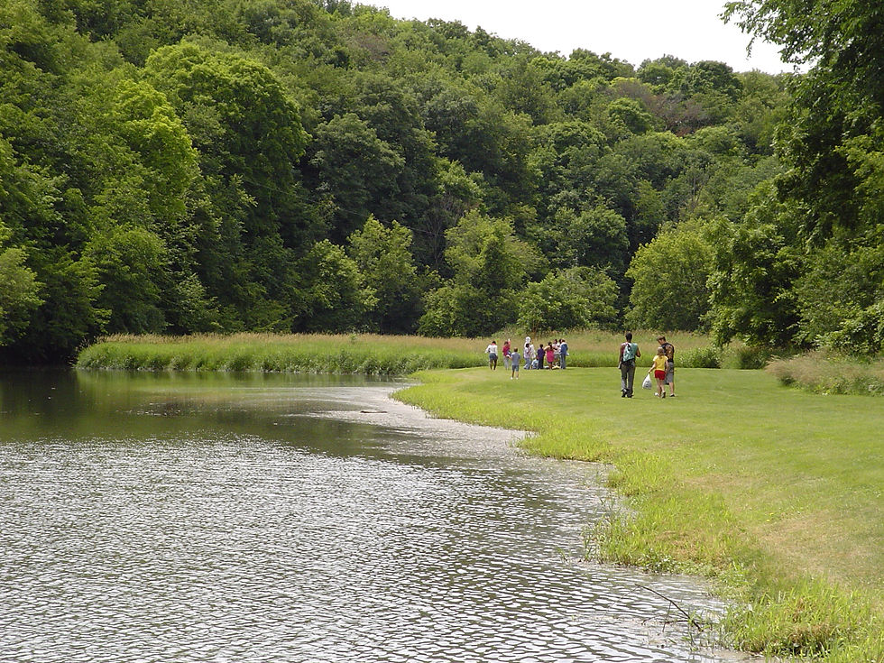 Lake and wooded grounds at summer camp