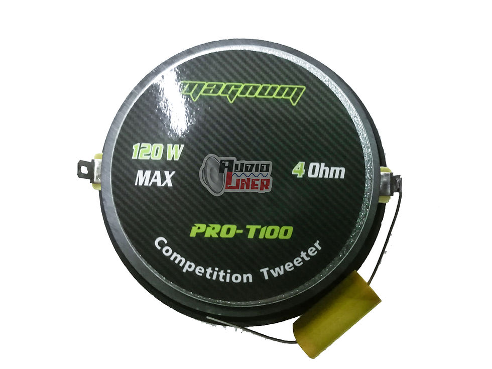 サムネイル： Par Tweeters Magnum T100 4 Ohms 60 Wrms