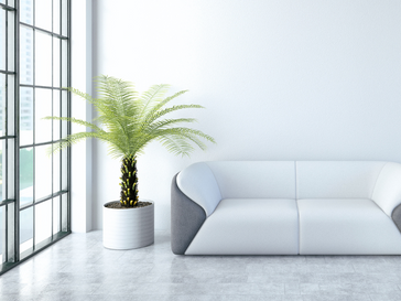 Practice Marketing Materials: Waiting Room Video Content