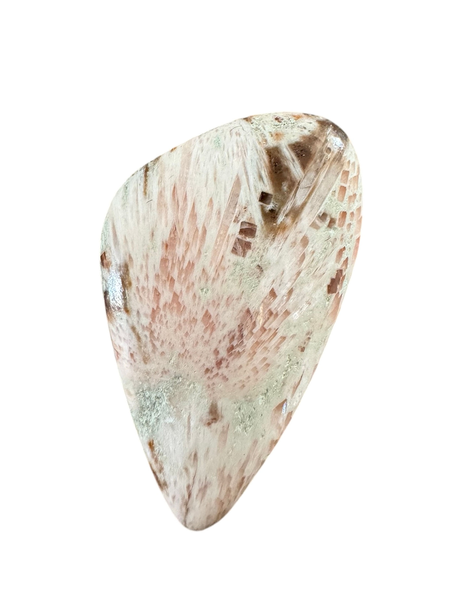 Pink Fossilized Palm Root Stone for Custom Piece