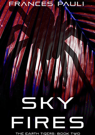 skyfiresfront.jpg