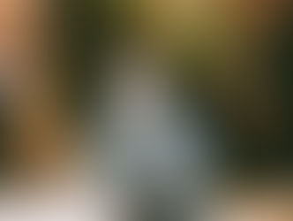 Narcissism, Psychopathy, Sociopathy and Borderline Personality Disorder (BPD)