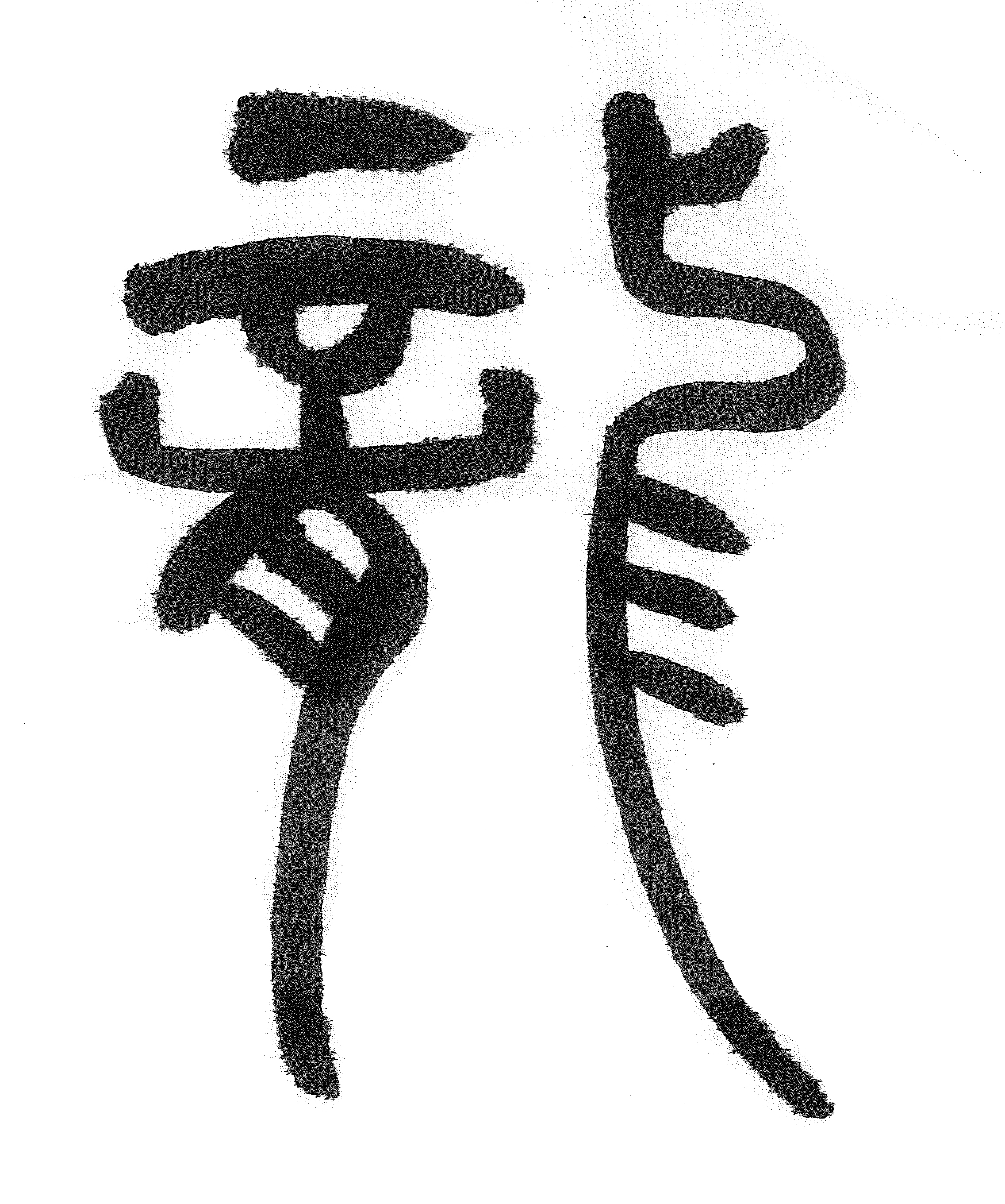 Dragon Kanji