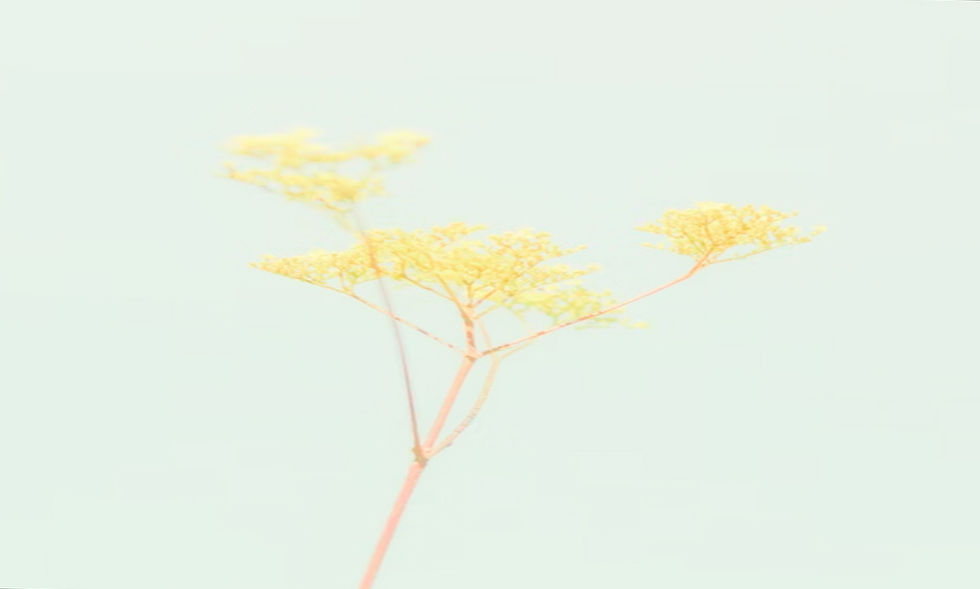 ree