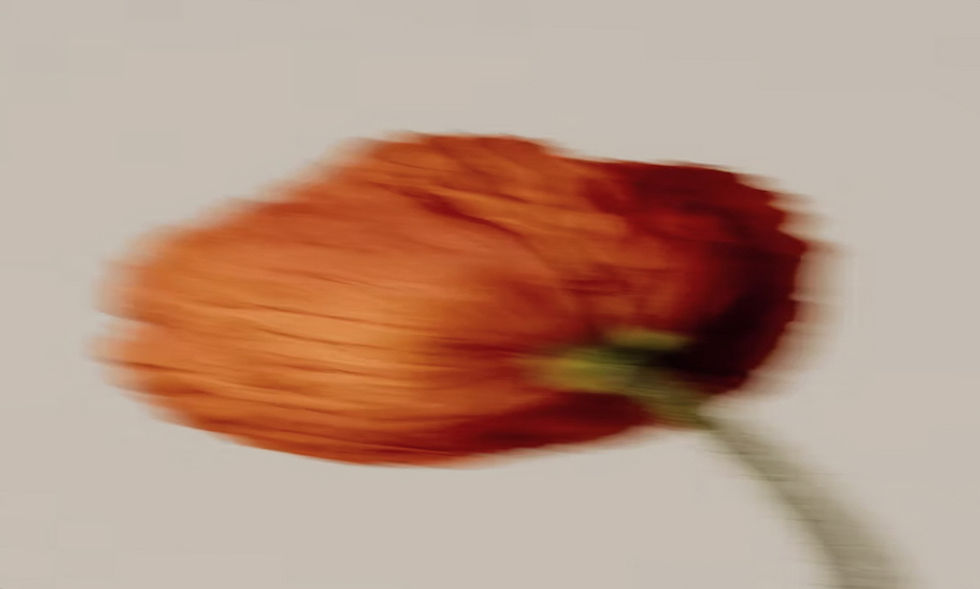 ree