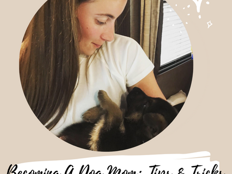 Becoming A Dog Mom: Tip's & Trick's