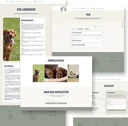 inhalte_infoseiten.webp