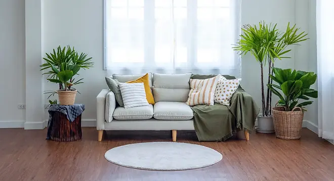 sofa_small.webp