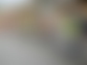 Monthly Newsletter - November