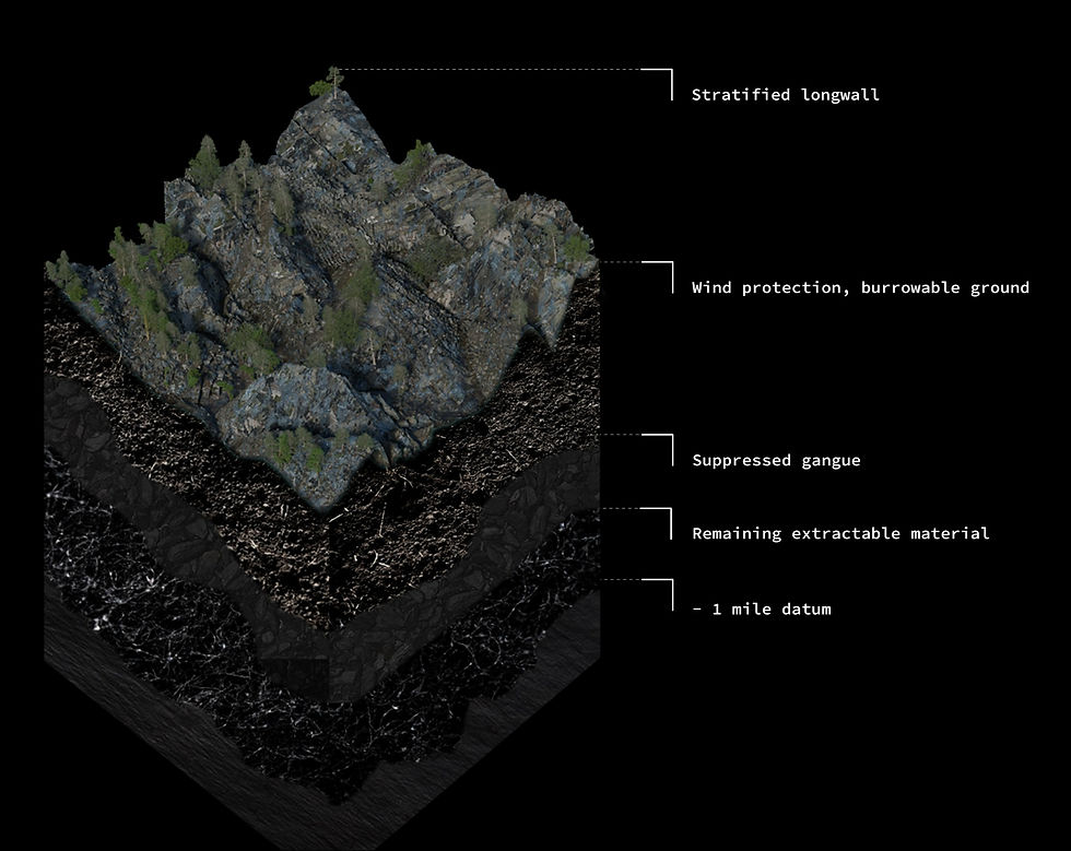 Longwall Collective Landscape