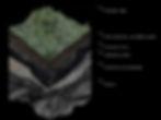 Ridge Collective Landscape