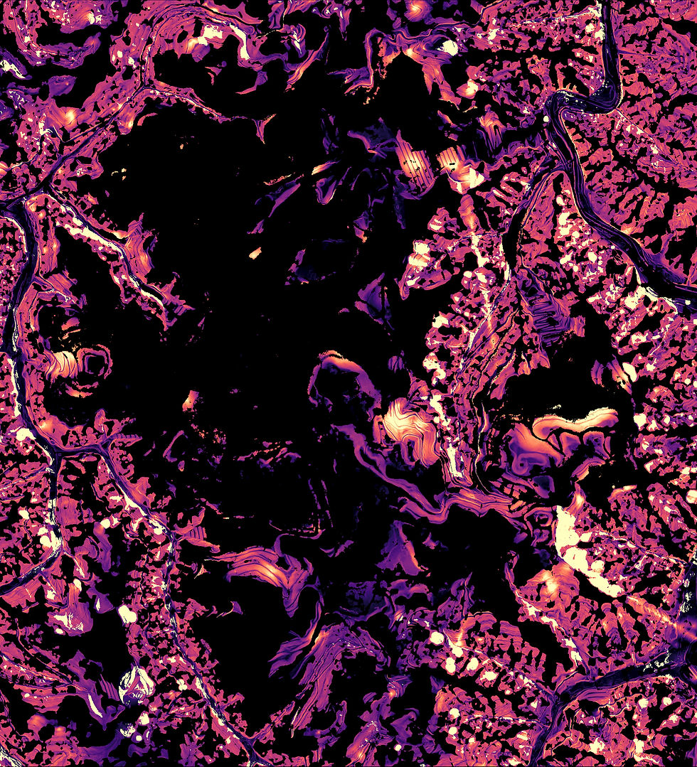 Final habitat suitability model for the Cerulean Warbler