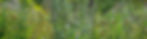 AdobeStock_216509090.jpeg