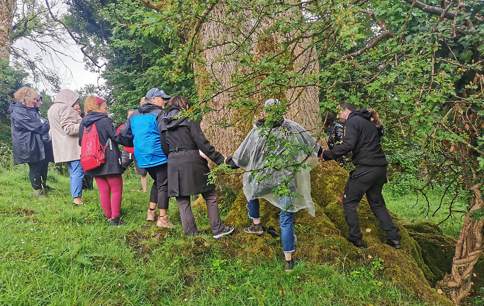 IMG-20240705-WA0005_edited