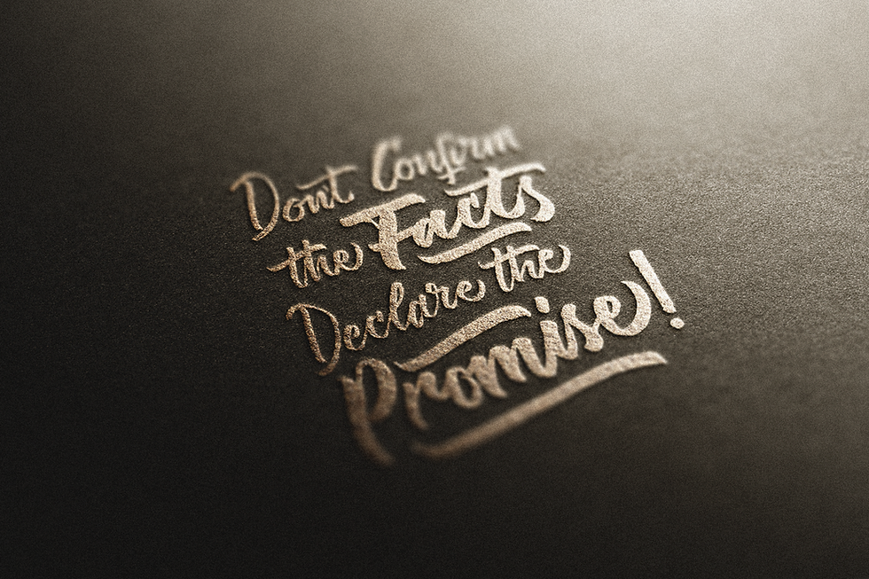 Stylish calligraphy of the phrase "Don't Confirm the Facts, Declare the Promise," featuring a flowing script.