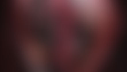 Review: Bound by Vengeance (Born in Blood Mafia Chronicles #5) -  Cora Reilly