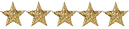 5 ESTRELAS.png