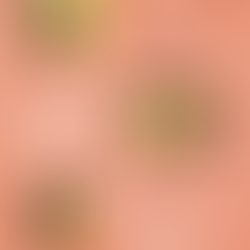 Review: My Life With The Walter Boys - Ali Novak