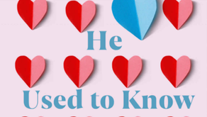Review: The Girl He Used To Know - Traci Garvis Graves