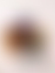 Ordem de Leitura: Série 'Rosemary Beach' da Abbi Glines