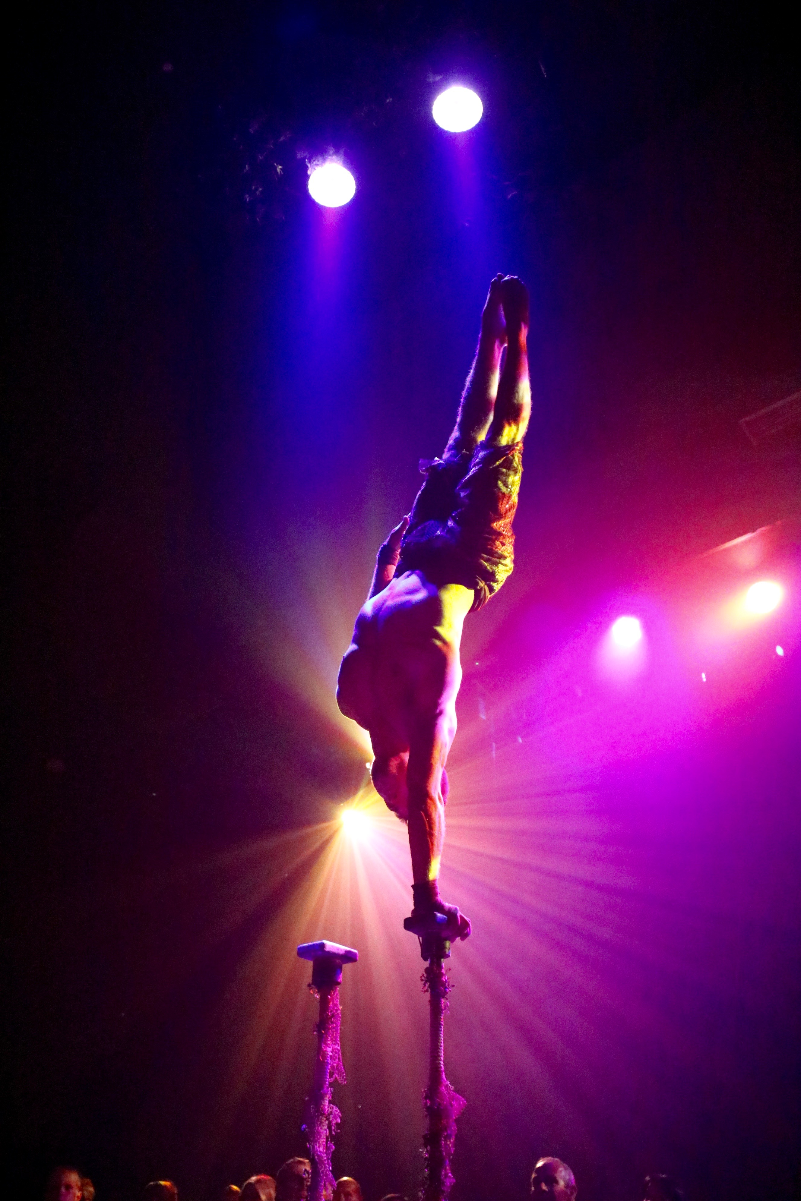Tiago Figueiredo
