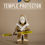 Thumbnail: Temple Protector by Baggles Studio X Legend C MOC