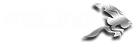 Feline