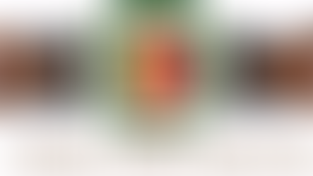 Quarterly NICCA Newsletter is on the way!