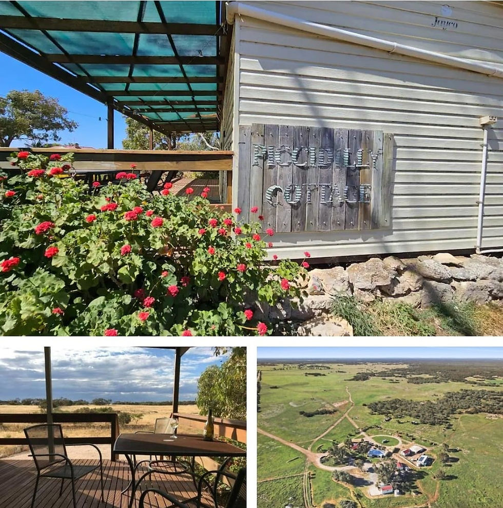 Eco-Cottages