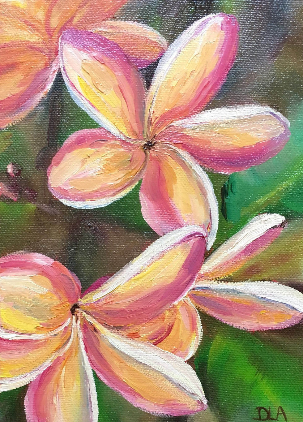 "Plumeria"