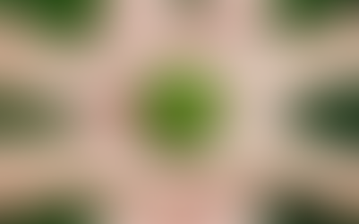 🌱 1 de noviembre: Día Mundial de la Ecología 🌍