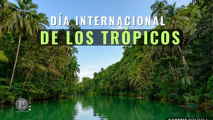 📅 29 de junio: Día Internacional de los Trópicos 🌎🌿