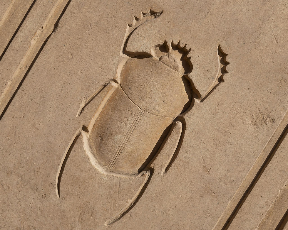 Scarab Kabartması