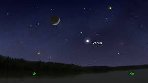 Venüs