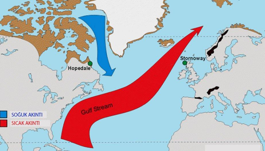AMOC (Atlantik Meridyonal Devrilme Dolaşımı)