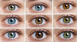 Fizyonomide göz rengi ve yorumları