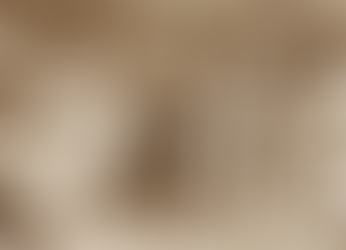 İngiliz-Zanzibar Savaşı