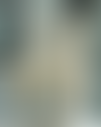 Roma İmparatoru Caligula