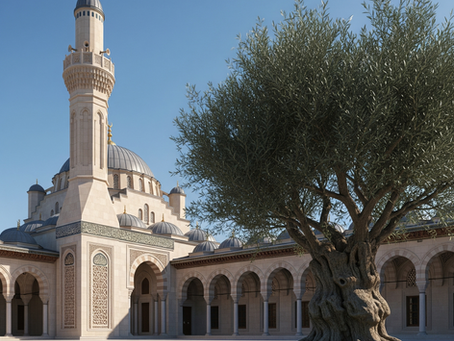 İslam inancında Zeytin Ağacı